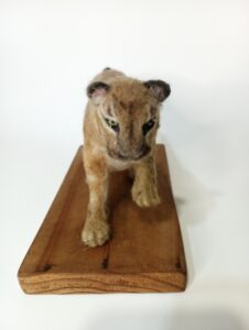PUMA DE FIELTRO